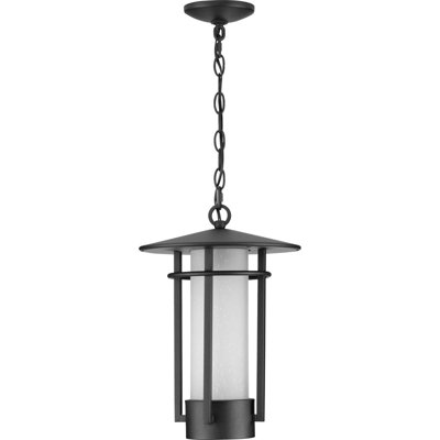 Hollman Outdoor Hanging Lantern