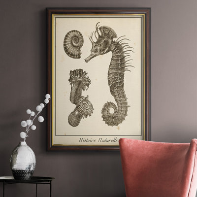 Étude de l'hippocampe II - Reproduction d'art sur toile encadrée