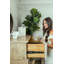 Commode 5 tiroirs Amsden - Finition rose cendré-1988229281