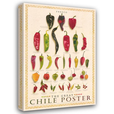 Le grand Chili, affiche IMA-m218
