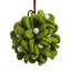 Mistletoe Ball Holiday Shaped Ornament