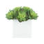 Arrangement succulent Echeveria dans un pot en fibre de pierre-1639614951