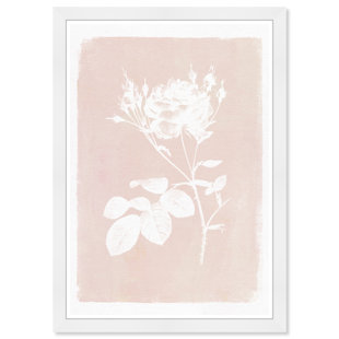 Plants & Flowers Framed Art