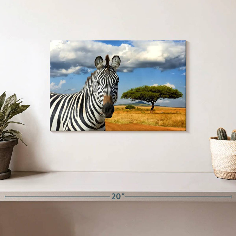 Zèbre safari africain Brampt, H 8 po x l 12 po