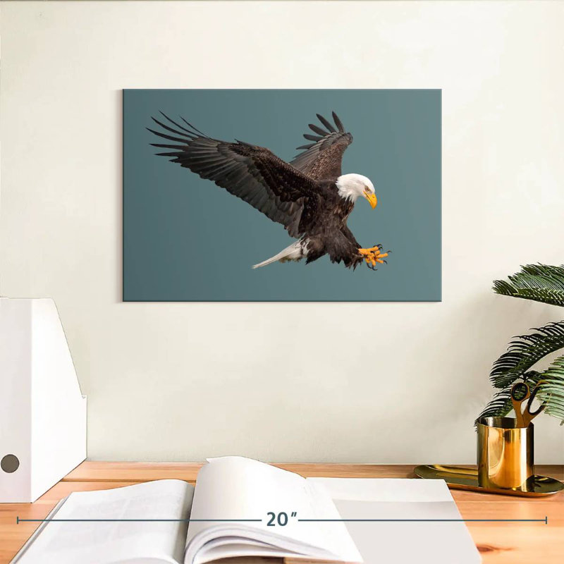 Brampt Predator Bald Eagle, 8" H x 12" W