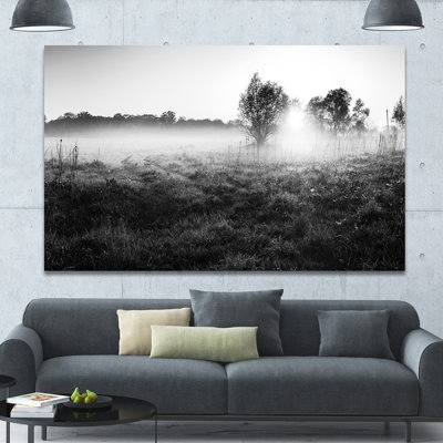 " Rural Meadow In Mist "