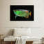 Poisson arowana vert-1219484750