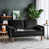 Black Velvet