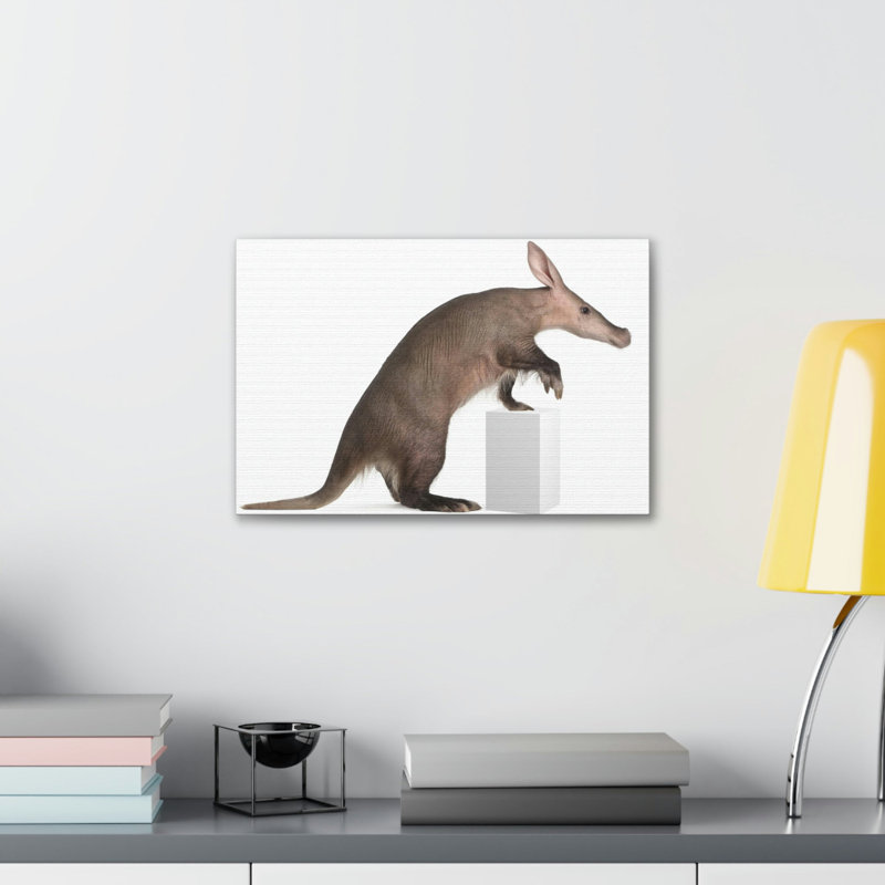 No Frame Print on Canvas, 27.94cm H x 35.56cm W