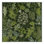 Machine Washable Nature Green Area Rug