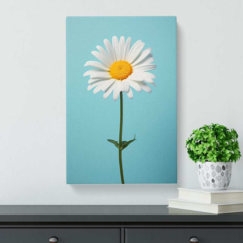 Daisy Minimalism - Wrapped Canvas, 60cm H x 40cm W x 3cm D
