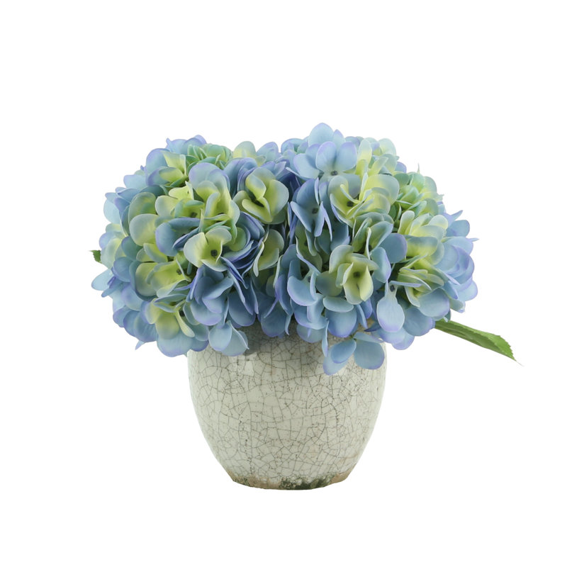 Hydrangea In Rustic Pot, Blue/Green