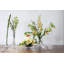 Old English Handmade Glass Table Vase