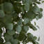 Faux eucalyptus 84 po en pot