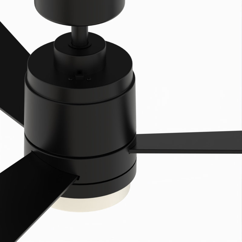 All-Weather Pylon 48 inch Indoor/Outdoor Ceiling Fan with LED Light Kit, Black