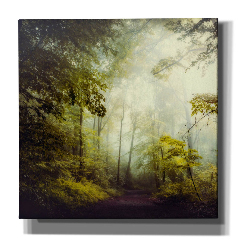 Art mural sur toile Foundry Select «Glorious Woods» par Dirk Wustenhagen, 37 po x 37 po