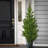 62" Artificial Cedar Tree in Pot