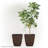 Pot Planter-979810679