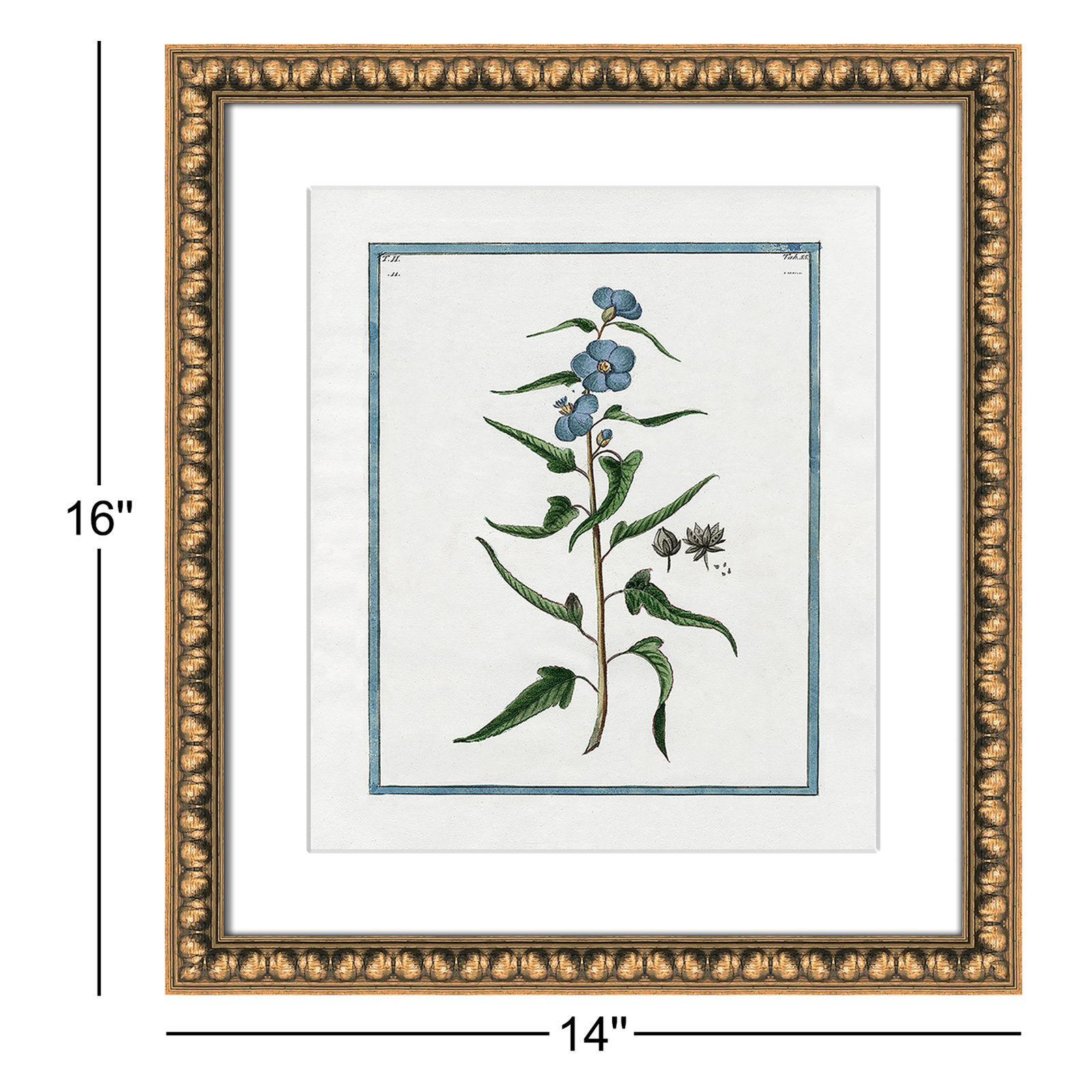 Shabby Elegance Botanical I - Framed Art Full Bleed, Gold Bead Framed, 14" W x 16" H
