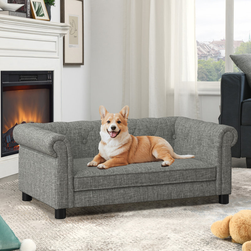 Canapé-lit surélevé élégant et durable pour petits et moyens chiens, idéal pour un repos confortable et un décor moderne