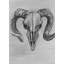 Tête de mort en niveaux de gris, crâne de cerf gris
