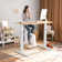 Inbox Zero Electric Stand Up Desk Frame Dual Motor Height Adjustable Sit Stand W/controller