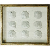 Sealife Print
