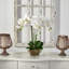 Triple arrangement floral d'orchidées phalaenopsis dans un vase-2106426654