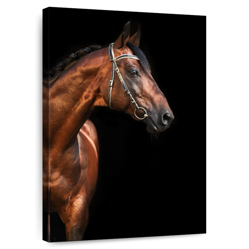 Brampt Bay Stallion Horse, 48" H x 32" W