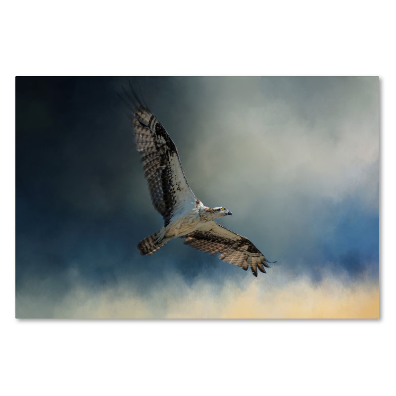 «Winter Osprey» de Vidur, impression sur toile tendue, H 22 po x l 32 po