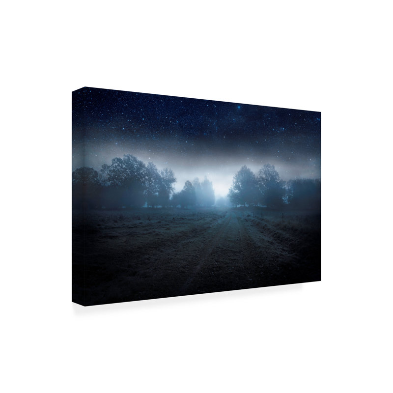 Art sur toile «Bolan Christian Lindsten Visions Of The Night», H 12 po x l 19 po