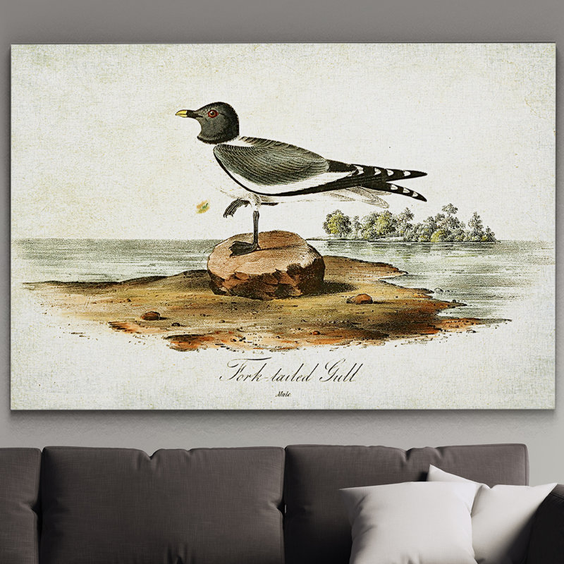 « volière drawing vi », impression, Pas de tapis, Toile tendue, H 18 po x l 27 po x P 1,5 po