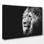 Proud Photographic - Wrapped Canvas-19091476