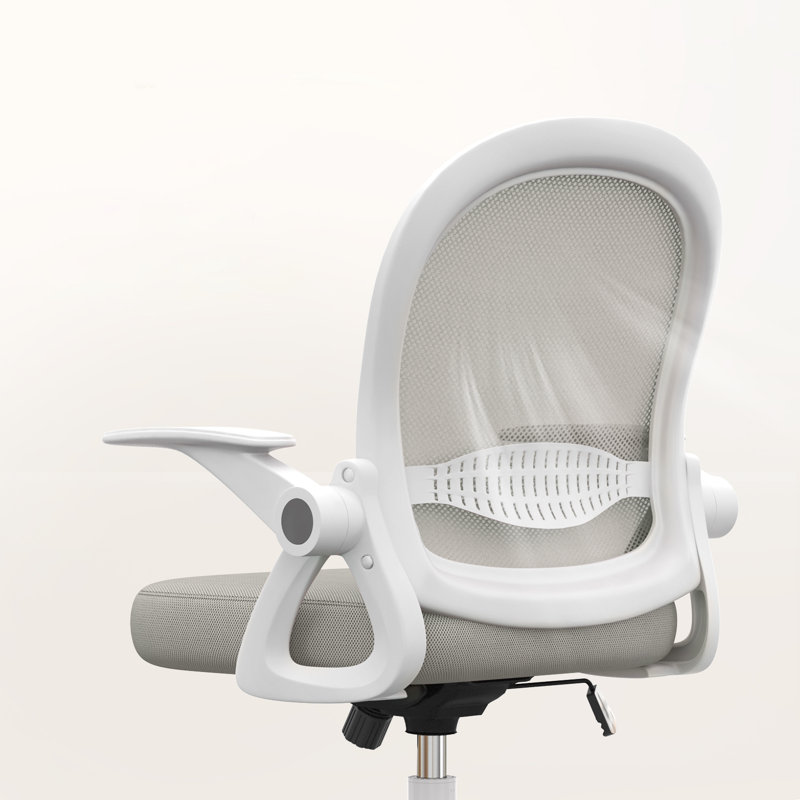 Desk Chair, White/Gray