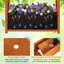 Boîte à fleurs surélevée en bois pour jardin avec 1 treillis et treillis