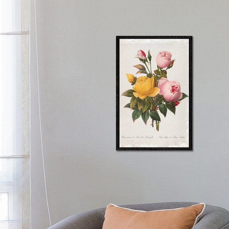 Botanical Bouquet Roses by Carol Robinson - Print on Canvas, 66.04 cm H x 45.72 cm W, Black Framed