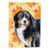 Black Bernese Mountain