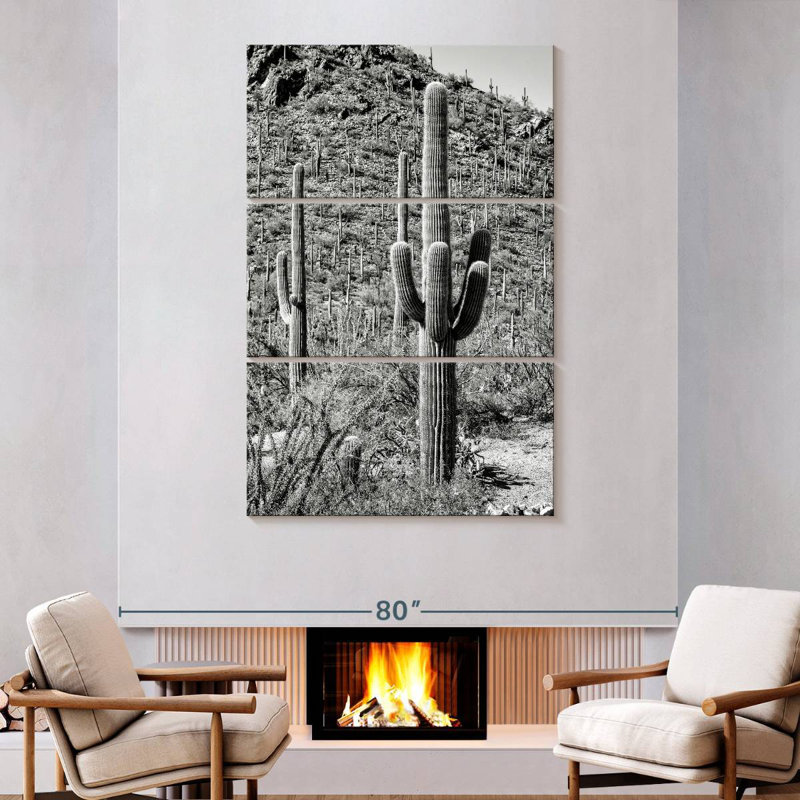 Harnek Black Arizona - Cactus Hill III, 74" H x 48" W