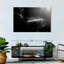 Caisse claire Abarca Spotlit-108706129