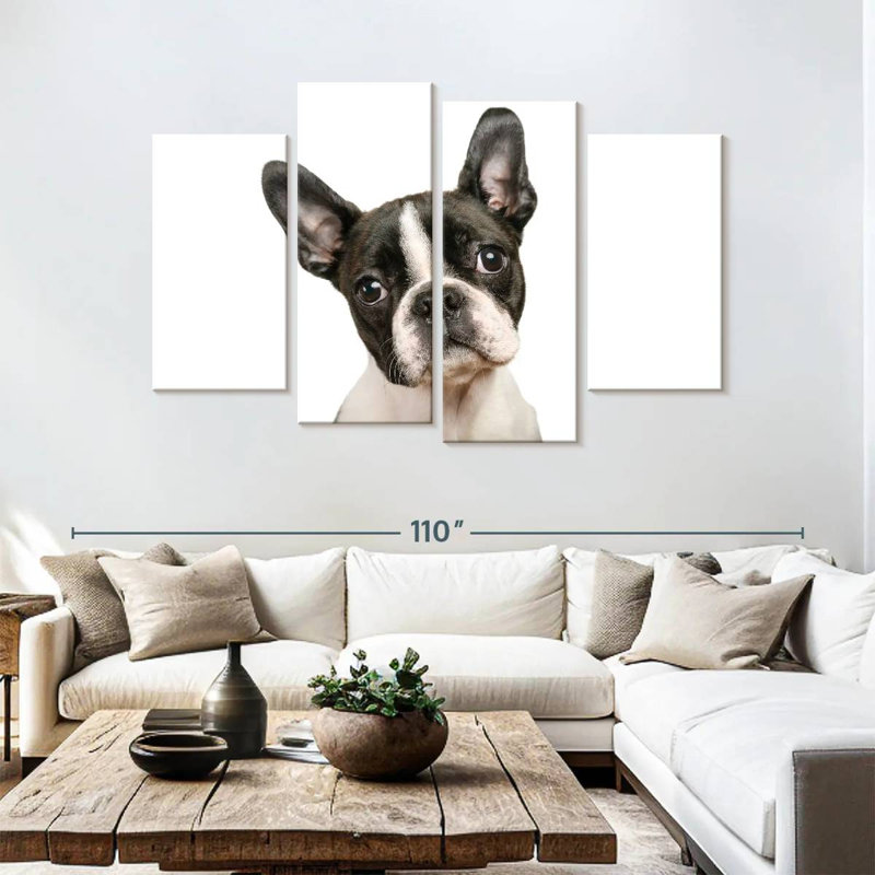 Brampt Little Boston Terrier, H 54 po x l 84 po