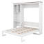 Queen Murphy Bed with Multi-Layer Storage Cabinet & Bookcase,Wood Foldable Space Saving Wall Bed, Multi Vertical Murphy Bed for Guest Room-185301905