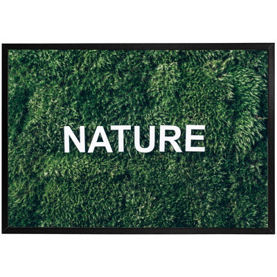 Cibecue Single Picture Frame Print