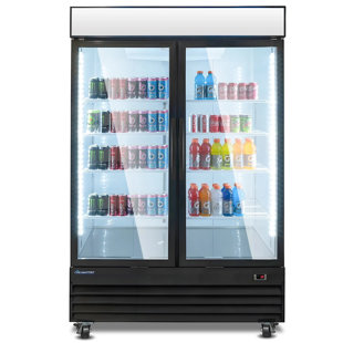 Réfrigérateur commercial 44,2 pieds cubes 2 portes