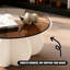 Table basse ronde en verre trempé de 31,5 po, table basse moderne de style Mid-Century avec base en bois massif en forme de fleur, table centrale décorative d'une capacité de poids de 170 lb pour le salon, le petit appartement et le bureau personnel-2104566431