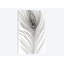 « peacock plumes mono », reproduction d’impression sur toile-73267854-31463543-73272846