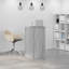 Stefhon Standing Desk-618553357