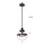 Luminaire suspendu sphère 1 lumière Douthitt