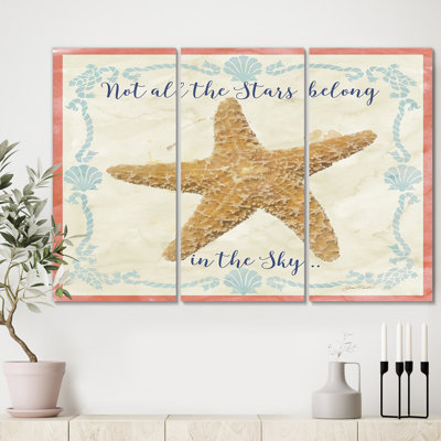 " Sea Shells-C " 3 - Pieces