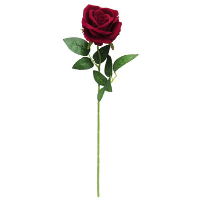 Tige de velours roses