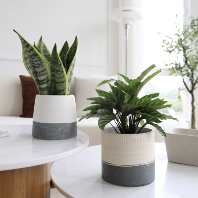 Ceramic Pot Planter